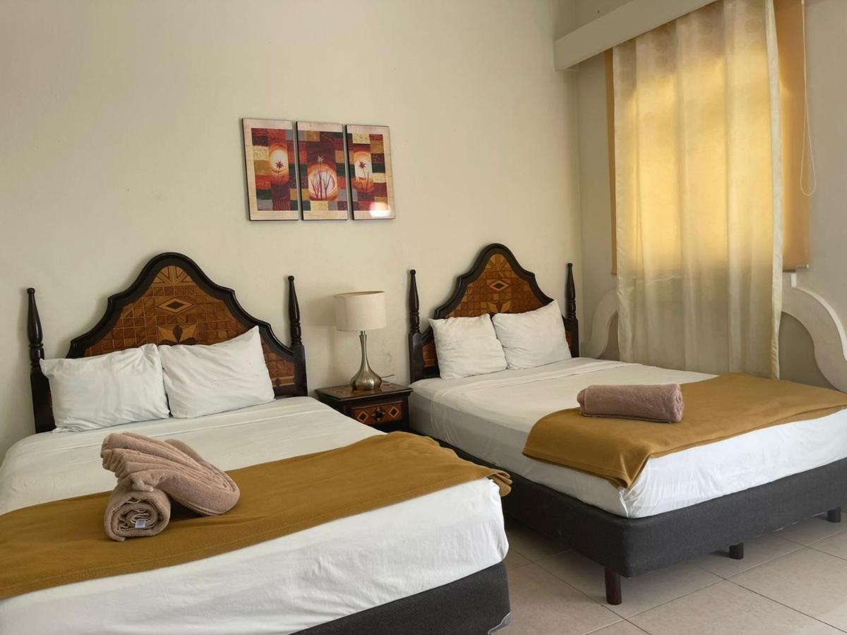 Hotel Mt 图卢姆 外观 照片