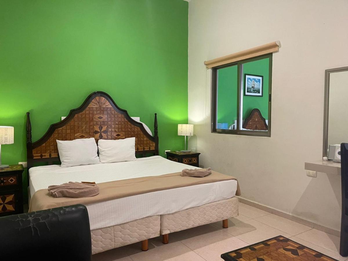 Hotel Mt 图卢姆 外观 照片